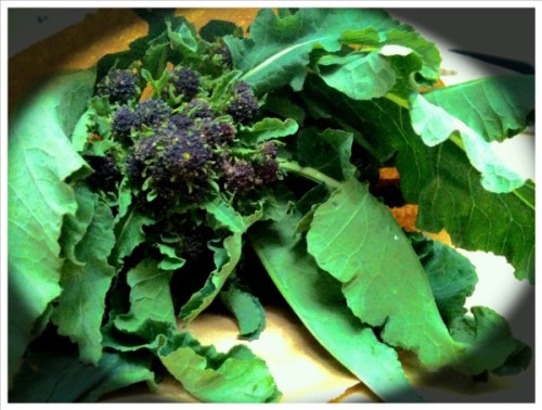 Bruton_wholefoods_004