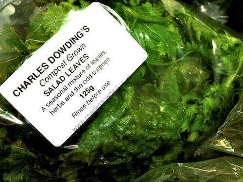 Bruton_wholefoods_059