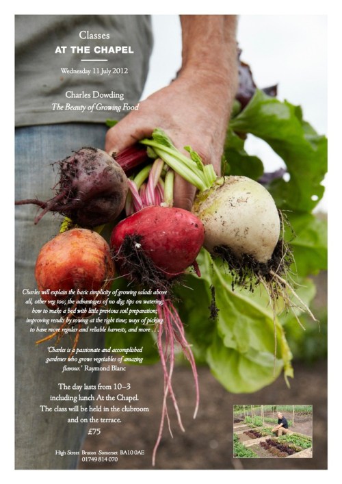 The_beauty_of_growing_food_1_copy