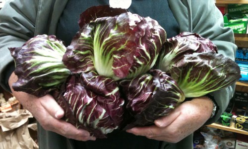 Bruton_wholefoods_radicchio_081