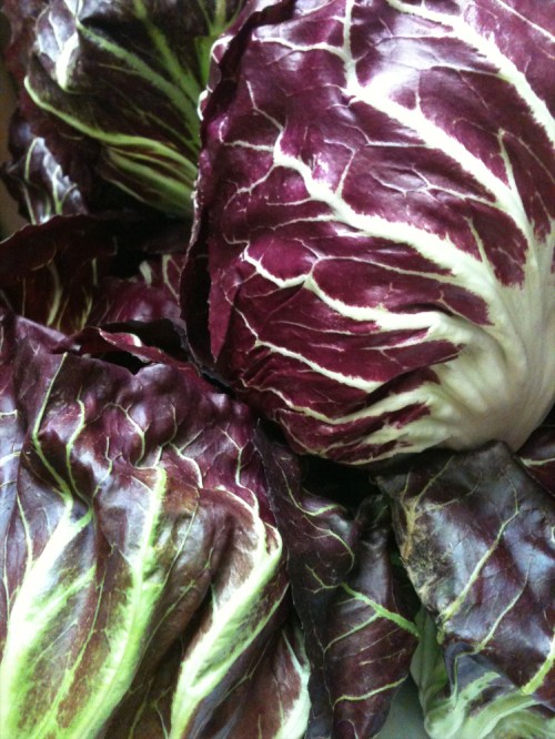 Bruton_wholefoods_radicchio_082