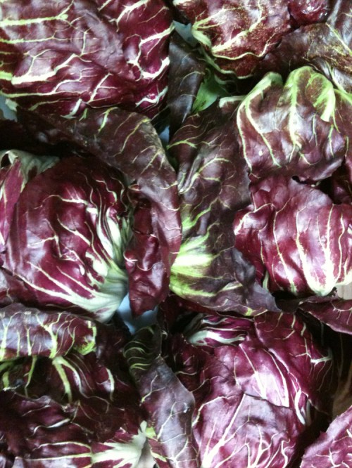Bruton_wholefoods_radicchio_083