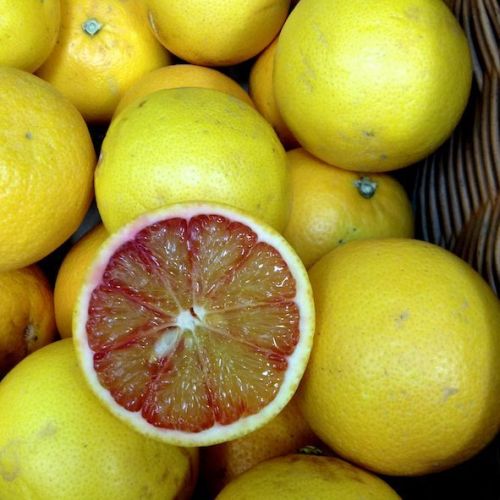 Bruton_wholefoods_110