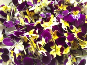 tumblr_mmw1pyE5tC1snswlgo1_1280