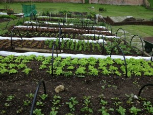 tumblr_mmxyrjnvGE1snswlgo1_1280